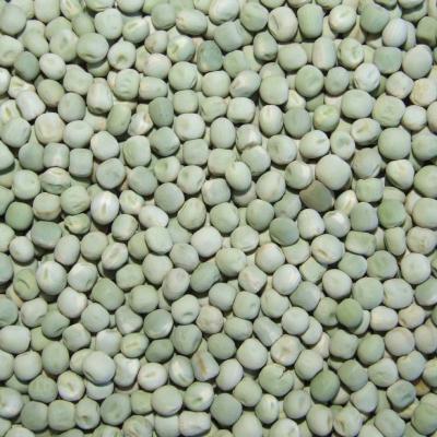 China Wholesale Healthy Double Dried Organic Dried Peas for sale