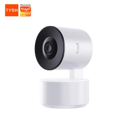 China TYSH Tuya Smart Motion Detection CCTV IR Camera Motion Detection Alarm Video Security Camera for sale