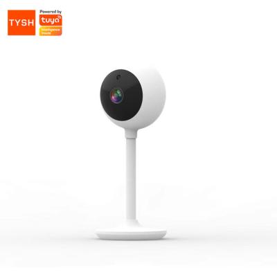 China TYSH China Factory TYSH-IC01 Motion Detection Camera 1080p Wireless Smart Home Camera for sale