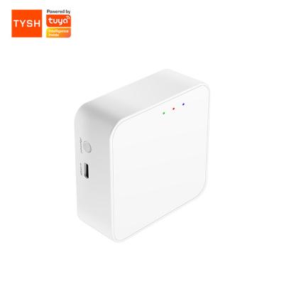 China Smart Home Devices TYSH Smart Home AutomationGateway Kit Wireless Gateway Support Alexa and Google Assistant for sale