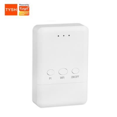 China TYSH Voice Control Garage Door Opener Contemporary Smart Wireless Remote Control Support Amazon Google for sale