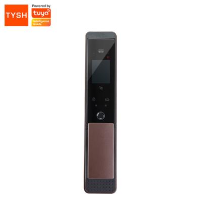 China Swiping Face Unlock TYSH Mini Program Remote Unlock Fingerprint Magnetic Card Digital Door Lock for sale