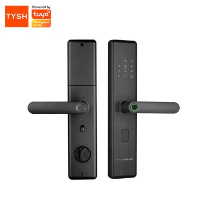 China TYSH App Wide Remote Control Open Touch Fingerprint Wify Tuya Smart Door Lock with Voice Prompts for sale