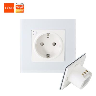 China TYSH Tuya Commercial Smart Home Wall Power Voice Control Socket with Google Amazon Alexa for sale