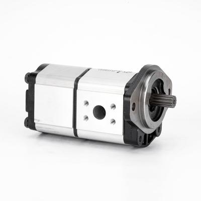 China Other Promotional Good Quality Aluminum Alloy Double Gear Pump for sale