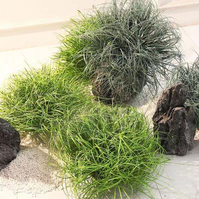 China Wall Decoration Reed Grass Haystack Natural Artificial Plastic Plants for Decoration Sample Testing for sale