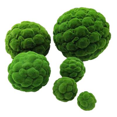 China Indoor home decoration fresh natural preserved moss real green forever moss ball for decoration and gift for sale