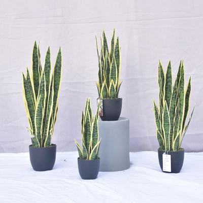 China Bonsai Indoor Home Decoration Mini Plastic Ornamental Indoor Sansevieria Decoration Agave Tree Artificial Snake Plant for sale