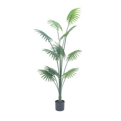 China Indoor home decoration high quality artificial Livistona chinensis for living room mall restaurant home decoration for sale