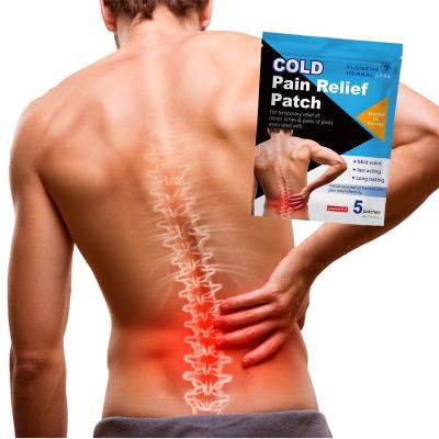 China Natural Ingredients Essential Oil Hydrogel Pain Patch For Muscle Pain Relief for sale