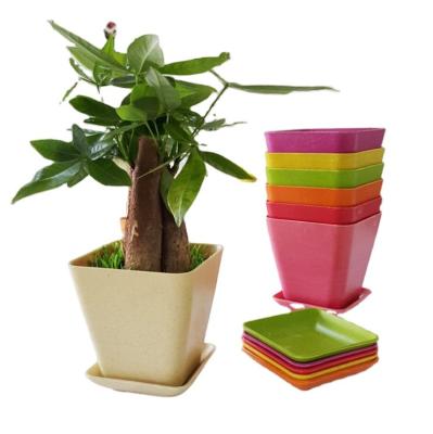 China Europe New Style Biodegradable Durable Green Material Flower Pots Flower Pots Planters Garden for sale