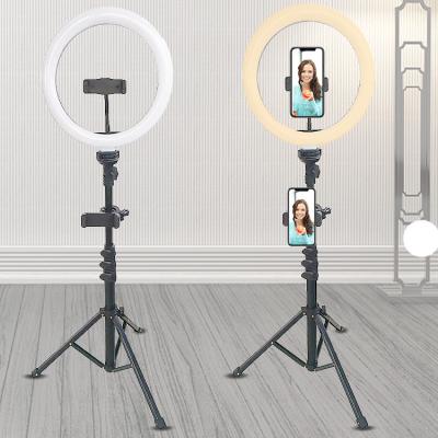 China 2021 New 10 Inch Stable Selfie LED Circle Ring Light 3200K-6500K Photography Make Up Ring Light Lamp With Stable Tripod for sale