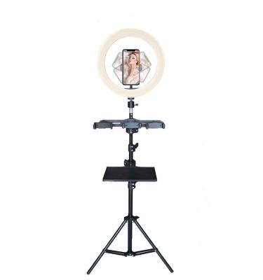 China Stable 10 Inch LED Circle Selfie Fill Tripod Stand Beauty Light Ring Light For Live Stream Makeup for sale