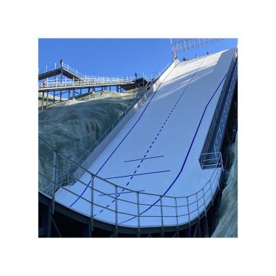 China Ski Tubing Dry Slope Artificial Dry Ski Resort SNOW MONKEY Summer Skiing for sale