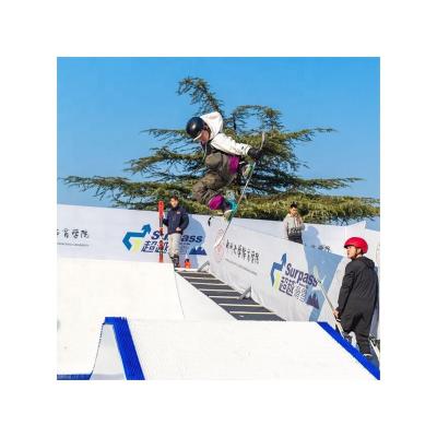 China Outdoor Ski Resort SNOW MONKEY Dry ​​Ski Surface In Amusement Park Four Season Dry Ski Resort for sale