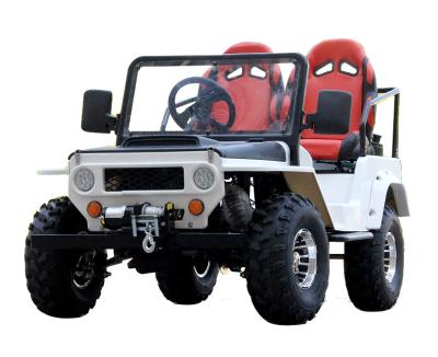 China 1200W right drive electric wills atv mini quad for sale for sale