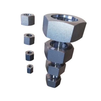 China 2020 Sleeve Nuts With Galvanized Color , Zinc Alloy Nut Colored Hydraulic Hex Nuts Fit Clip Rings (RL/RS) 5B-24-16 for sale