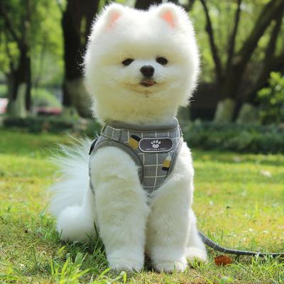 China Dropshipping Personalized Custom Soft Walk Overnight Sex Woman Dog Pet Service Harness Leash Set for sale