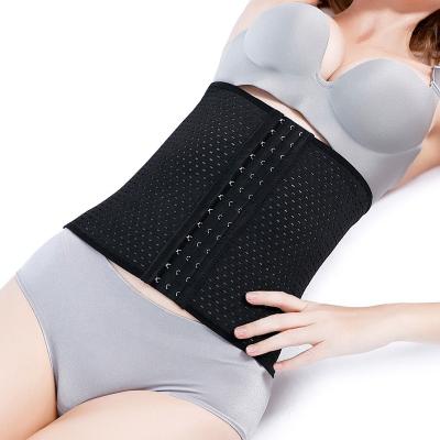 China Factory Direct Best Women's Waist Trainer 2021New Arrivals Waist Trimmer Buckle Waist Slimming Support for sale