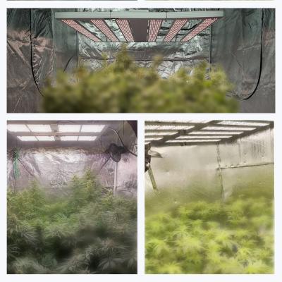 China Easily Assembled Grow Tents Full Kit Greenhouse Grow Tent High Quality Hydroponics Grow Tent Waterproof OEM Paint Complete System for sale