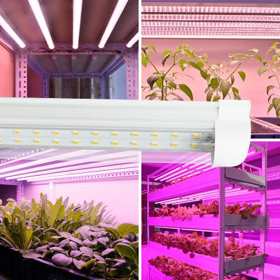 China Seed Starting Led Hydroponic Growing Systems For Growing Lighting 2ft 3ft 4ft Grow Led Light Strip T8 Integrated Led Grow Light Tube for sale