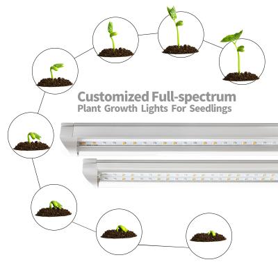 China Green House 0.6m 0.9m 1.2m 1.5m 8w 12w 15w 18w 28w 24w 34w Long Strip Grow Lamp Full Spectrum Integrated T8 Led Grow Light Tube For Green Veg. for sale