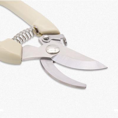 China Small Anti-Slip Handle Garden Bypass Tree Shears Branch Trimming Pruner Cutting With High Quality Floral Scissors for sale