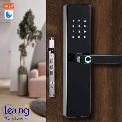 China Red Bronze Zinc Alloy Tuya TTlock Smart Lock For Steel Door for sale