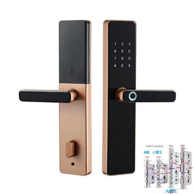 China 6068 Mortise TTlock Wifi Tuya Door Lock With Fingerprint And Password for sale