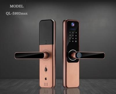 China Durable Alkaline Battery Fingerprint Door Lock Tuya Bluetooth Fingerprint Door Lock for sale