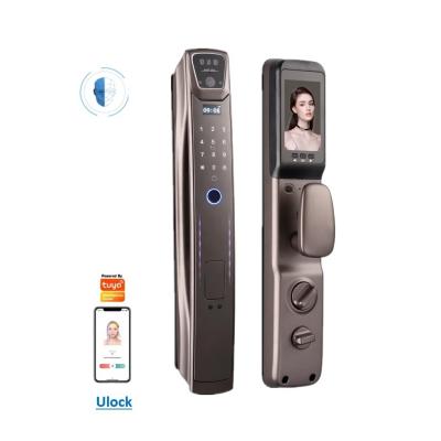 China Aluminum Alloy Door Face Lock Usmart Go Face Detection Door Lock for sale