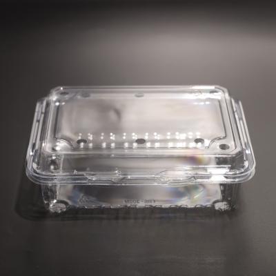 China Clear PET Plastic Food Storage Containers with Lids for sale