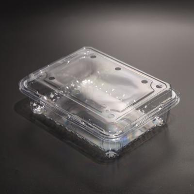 China Customizable PET Plastic Food Packaging Container Disposable Eco Friendly For Vegetable for sale