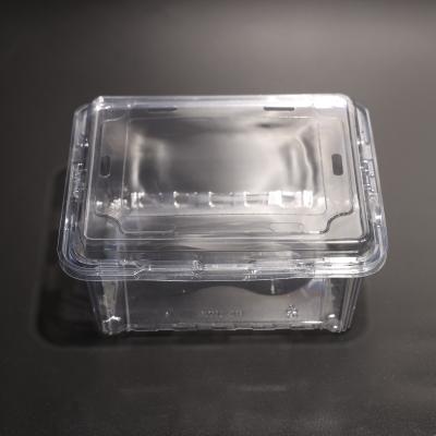 China Space Saving Multi Purpose PET Plastic Food Storage Containers In Clear Color for sale