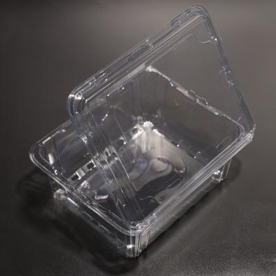 China PET Clear Plastic Food Take Out Containers For Cake Packaging for sale