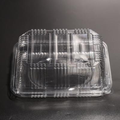 China Customized Color Plastic Food Container PET Container With Lid For Freezer Storage for sale