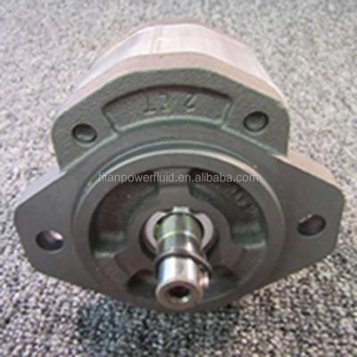 China Cast Iron Bidirectional Gear Hydraulic Motor For Forestry , Marzocchi GHM2A Hydraulic Gear Pump for sale