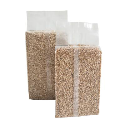 China Food Grade Moisture Proof Custom Nylon Pouch Clear Plastic Bag for sale