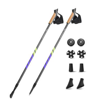 China Retractable Cork KingGear 2 Section Cork Handle 3K Carbon Fiber Telescopic Rise Sticks Nordic Walking Poles for sale