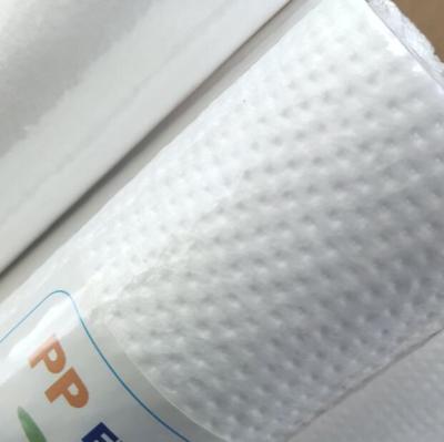 China Hotel Under Sink Water Filter System 10 Inch Sediment Polypropylene Whole House Water Filter Replacement Cartridge for sale