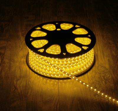 China 220V SMD 5050 silicon waterproof LED strip light IP68 colorful strip light for sale