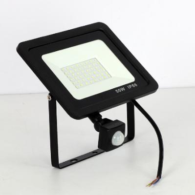 China 10W 20W 30W 50W 100W Led Flood Light With Adjustable PIR Sensor SMD 2835 Floodlights Outdoor Lighting For Street Square for sale