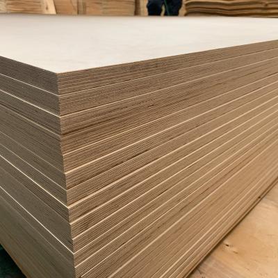 China Full 12mm 15mm 18mm Modern Birch Plywood For Laser Cutting Die Making for sale