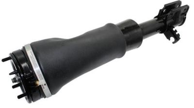 China LR032567 Air Suspension Parts Air Suspension Strut for sale