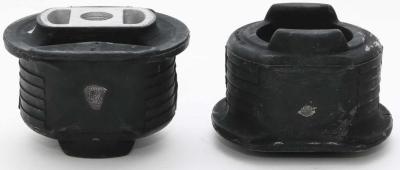 China 1243506608 Suspension Parts Control Arm Bushing for sale