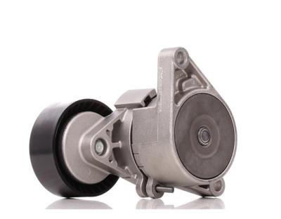 China BMW 11281433571 Peças do motor A/C Serpentine Belt Tensioner com pole à venda