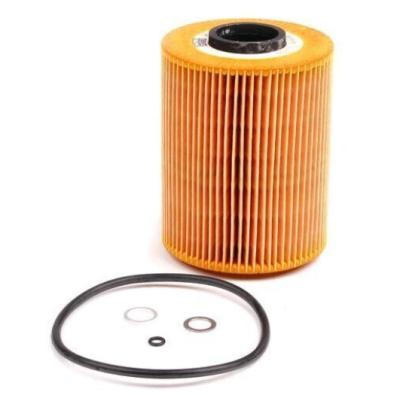 China 11421730389 Partes del motor BMW Filtro de aceite para BMW 3 (E36), 5 (E34) en venta