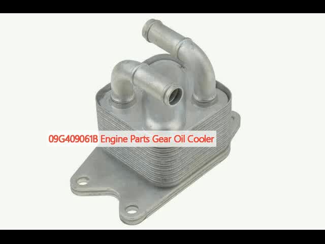 09G409061B Engine Parts Gear Oil Cooler