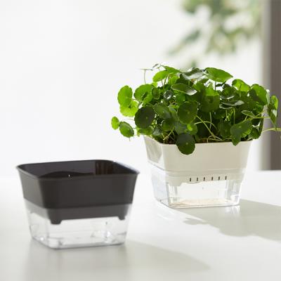 China Eco - Friendly Plastic Small Square Plant Grow Automatic Flower System Hydroponic Pot for sale