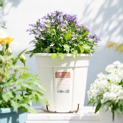 China Large Garden Eco-friendly Decorative Modern White Flower Planter Tall Plastic Pot for sale